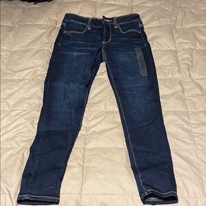 American Eagle Outfitters Dark Blue Jeans Jeggings